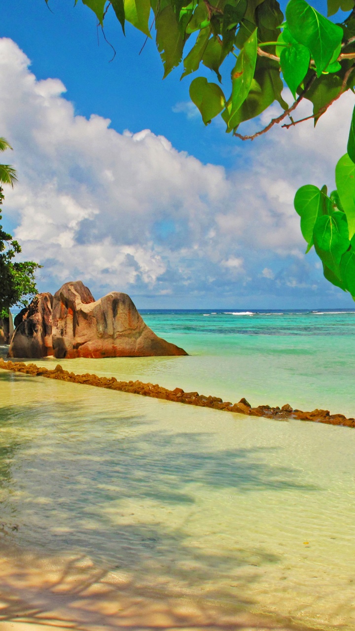 Обои природа, тропическая зона, море, берег, пляж в разрешении 720x1280