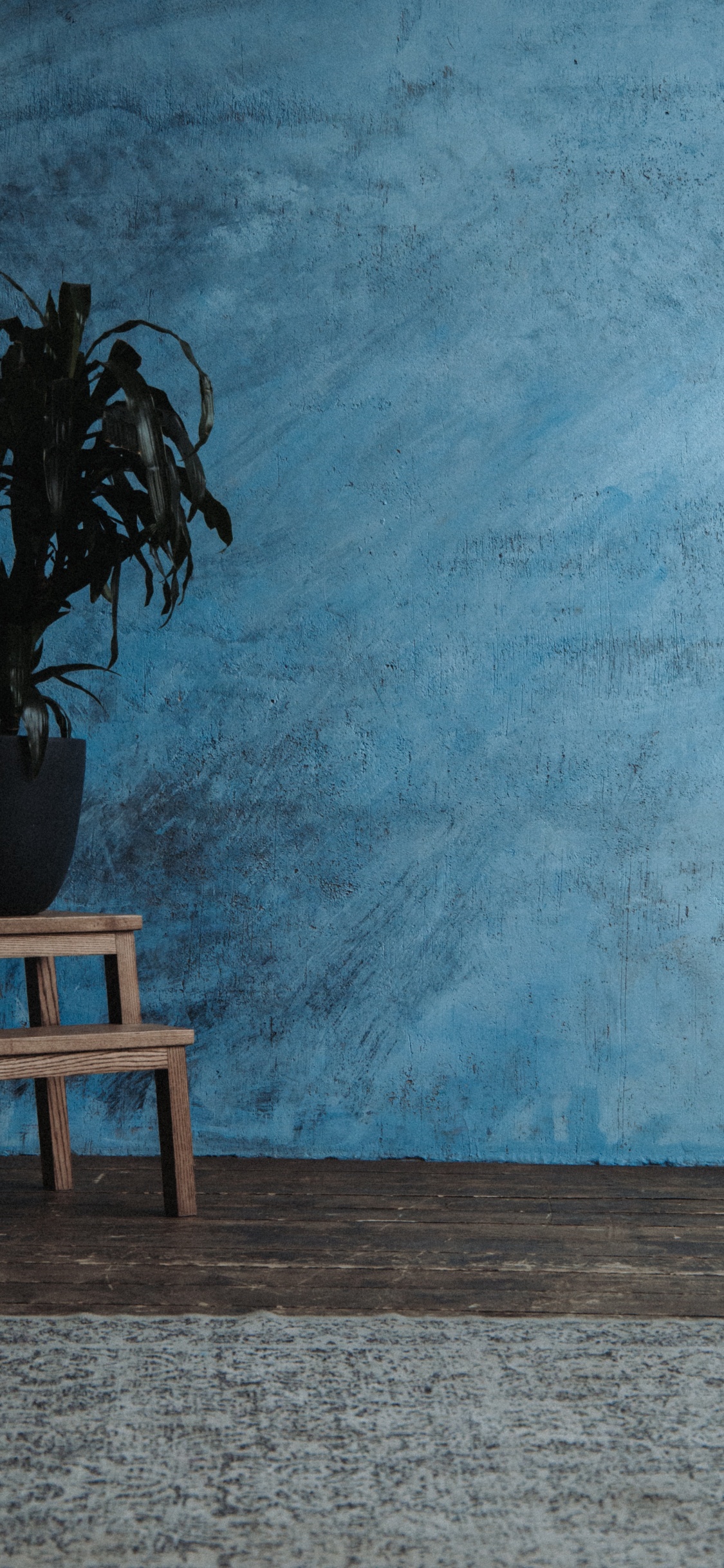 Обои серый цвет, зеленый, дерево, таблица, этаж в разрешении 1125x2436