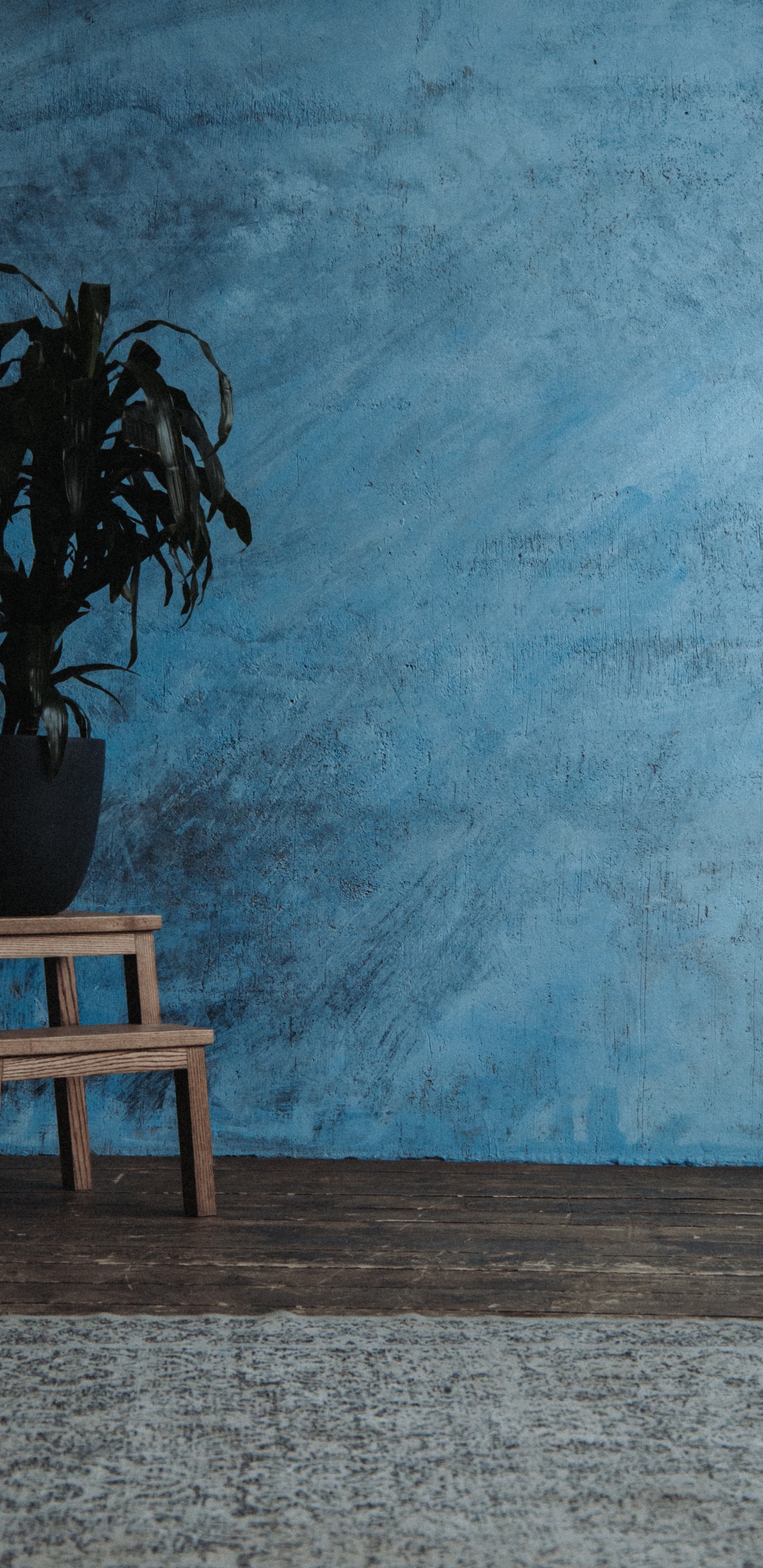 Обои серый цвет, зеленый, дерево, таблица, этаж в разрешении 1440x2960