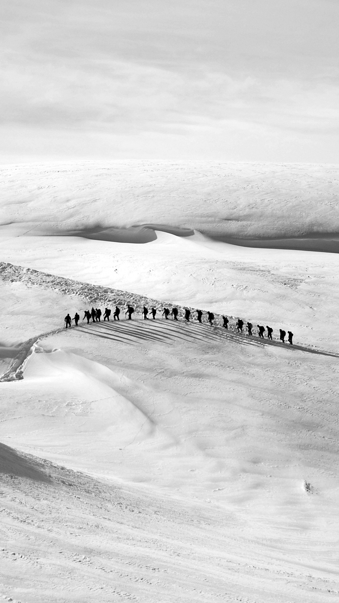 Обои снег, белые, монохромный, замораживание, промышленность в разрешении 1080x1920