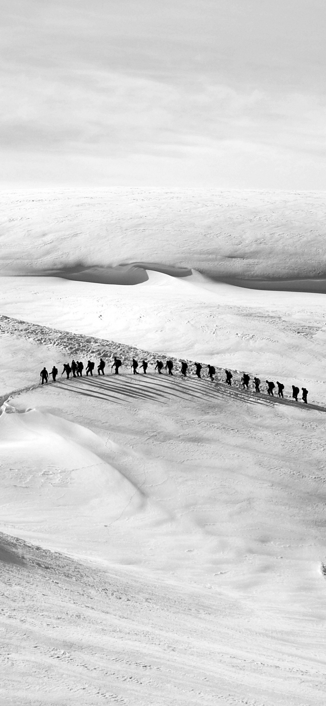 Обои снег, белые, монохромный, замораживание, промышленность в разрешении 1125x2436