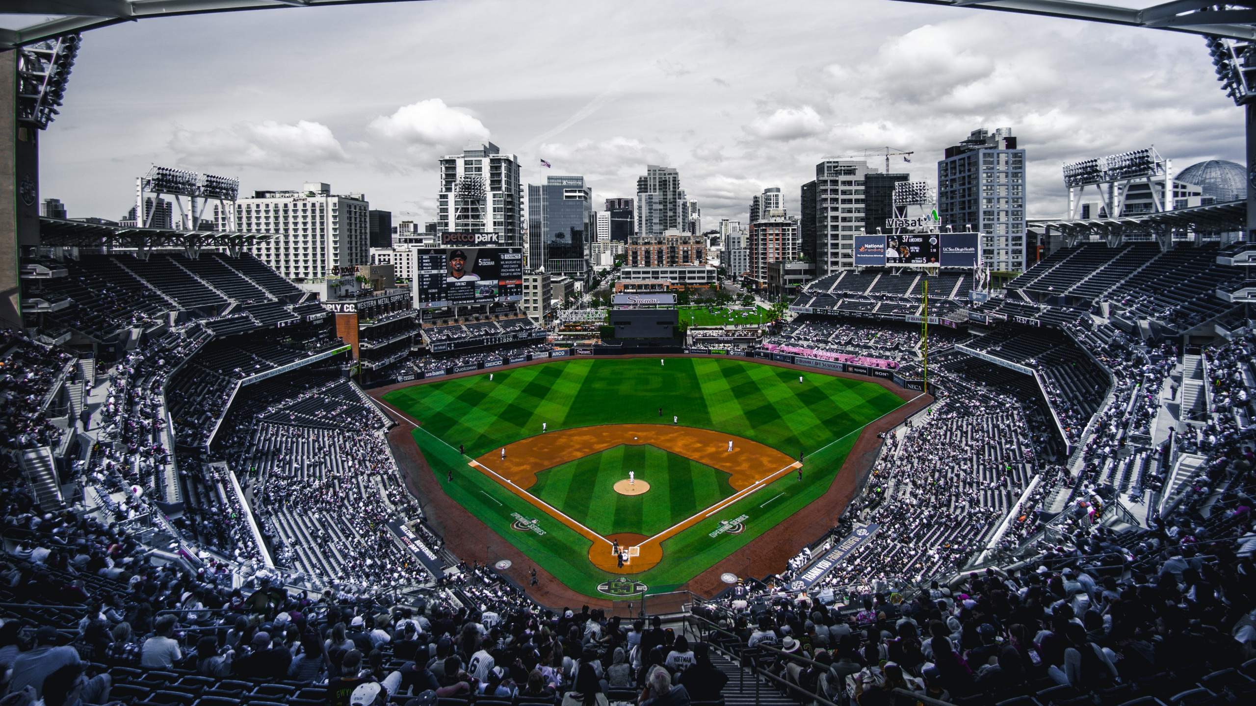 Обои бейсбол, стадион, бейсбольное поле, бейсбольный парк, спортивные объекты в разрешении 2560x1440