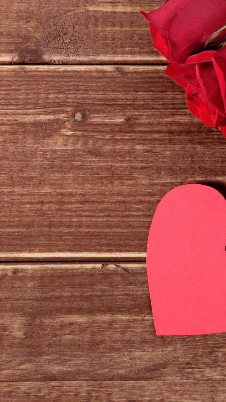 Обои Роза, День Святого Валентина, сердце, цветок, подарок в разрешении 720x1280