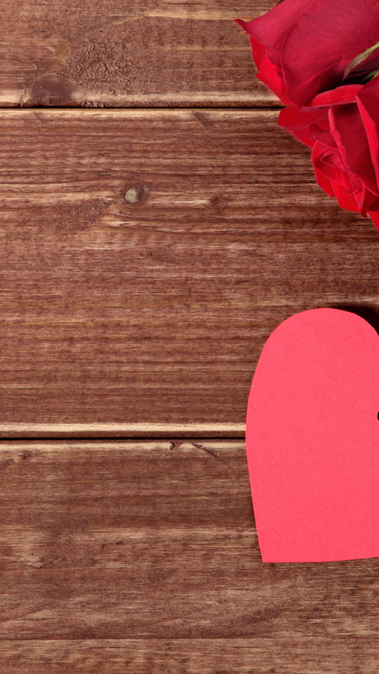 Обои Роза, День Святого Валентина, сердце, цветок, подарок в разрешении 750x1334