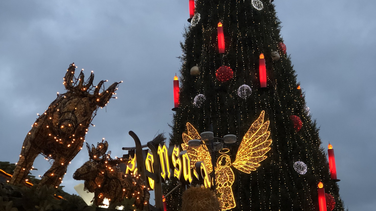 Обои елка, Рождественский день, ель, Рождественские огни, традиция в разрешении 1280x720