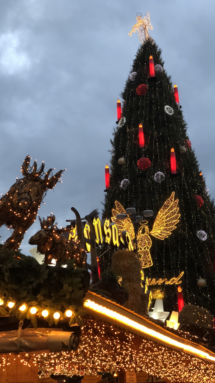 Обои елка, Рождественский день, ель, Рождественские огни, традиция в разрешении 750x1334