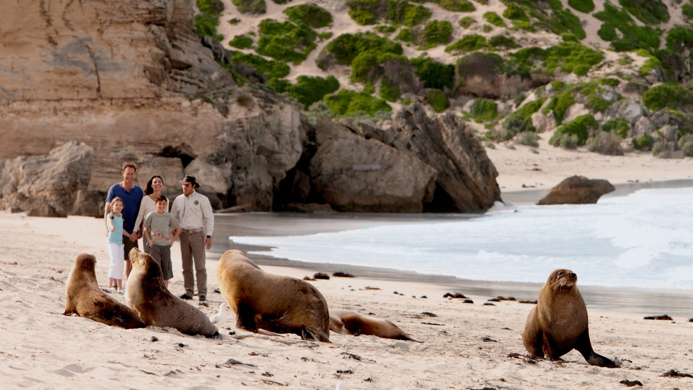 Обои Замечательные Скалы, отпуск, туризм, Парк-Заповедник Gantheaume Мыс, песок в разрешении 1366x768