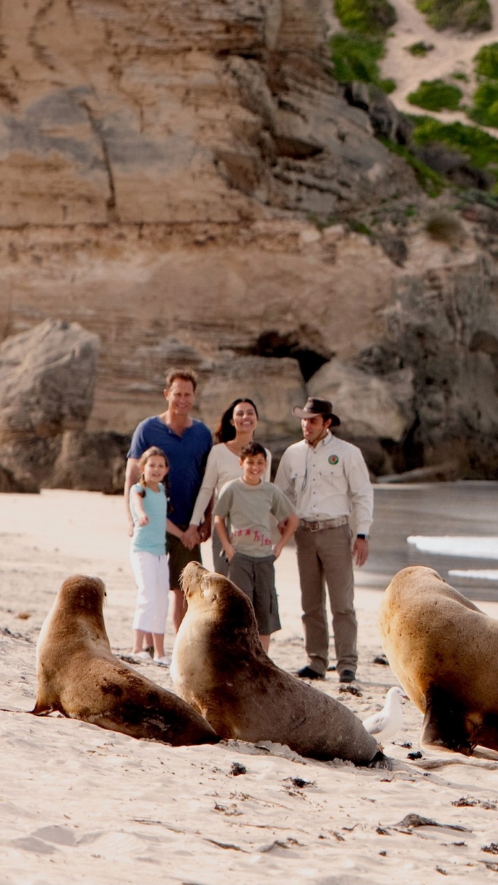 Обои Замечательные Скалы, отпуск, туризм, Парк-Заповедник Gantheaume Мыс, песок в разрешении 720x1280