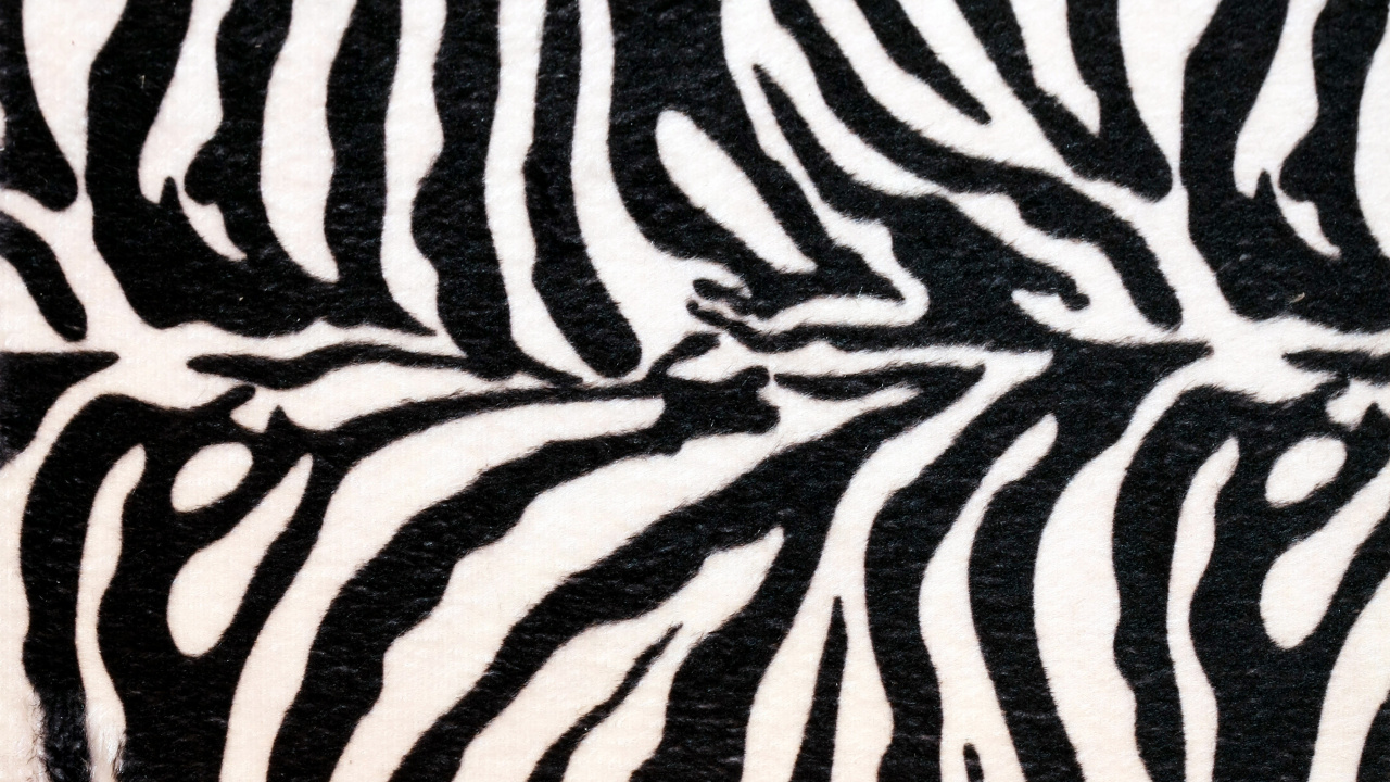 Обои животных печати, зебра, живая природа, узор, монохромный в разрешении 1280x720