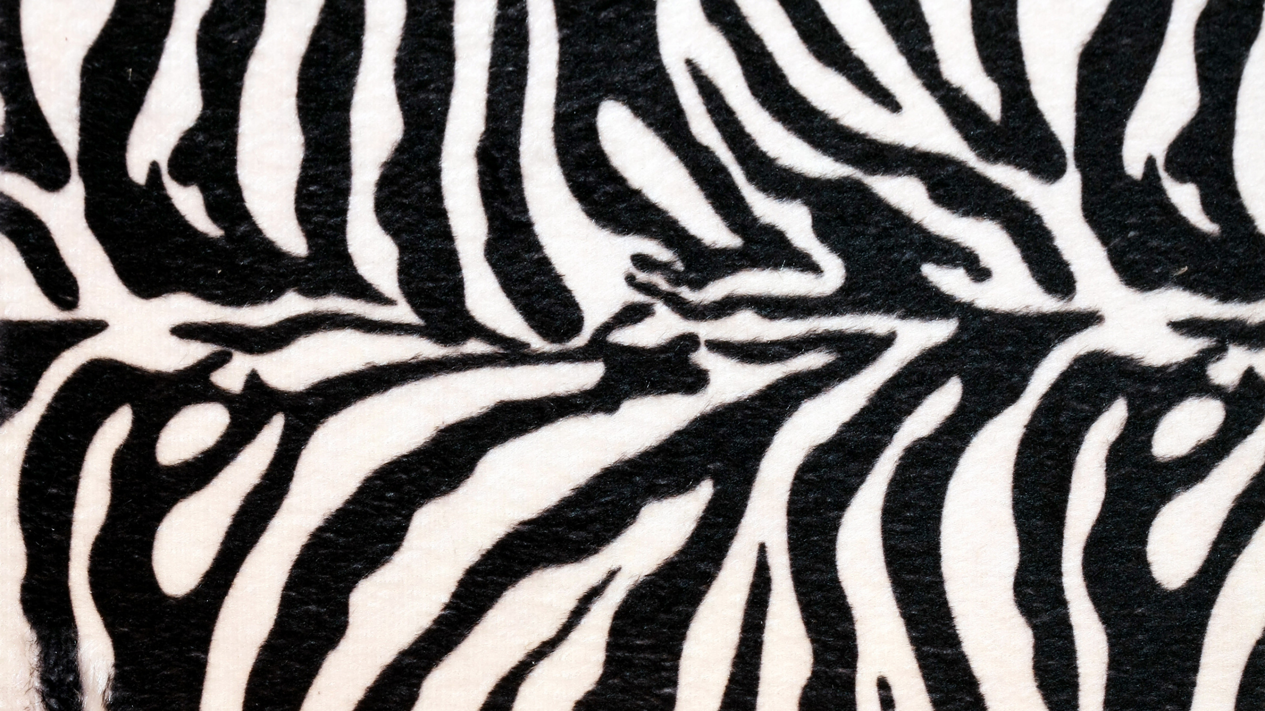 Обои животных печати, зебра, живая природа, узор, монохромный в разрешении 2560x1440