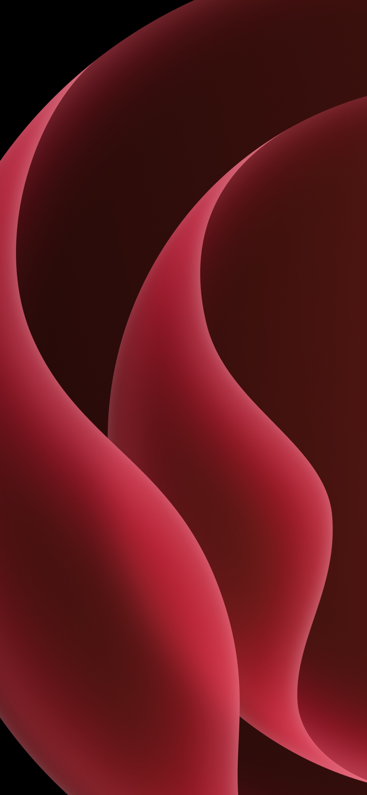 Обои красочность, розовый, лепесток, арт, пурпурный цвет в разрешении 1242x2688