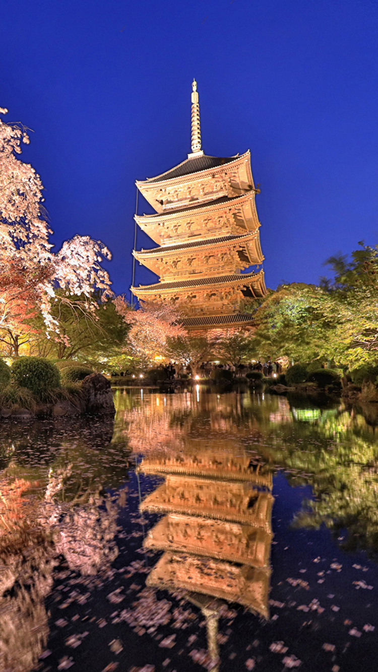 Обои цветение вишни, Токио, отражение, дерево, растение в разрешении 750x1334
