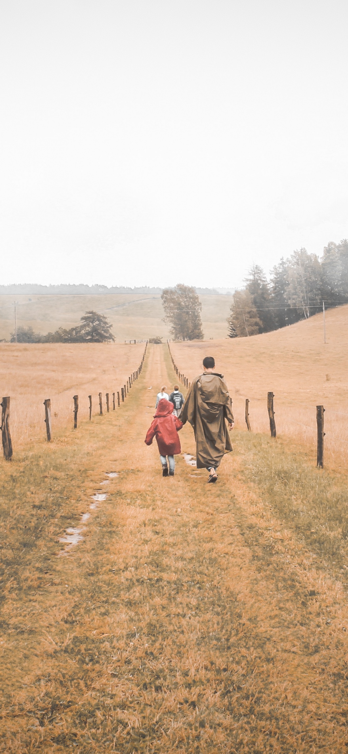 Обои семейство травы, степ, грунтовая дорога, окружающая среда, дерево в разрешении 1125x2436