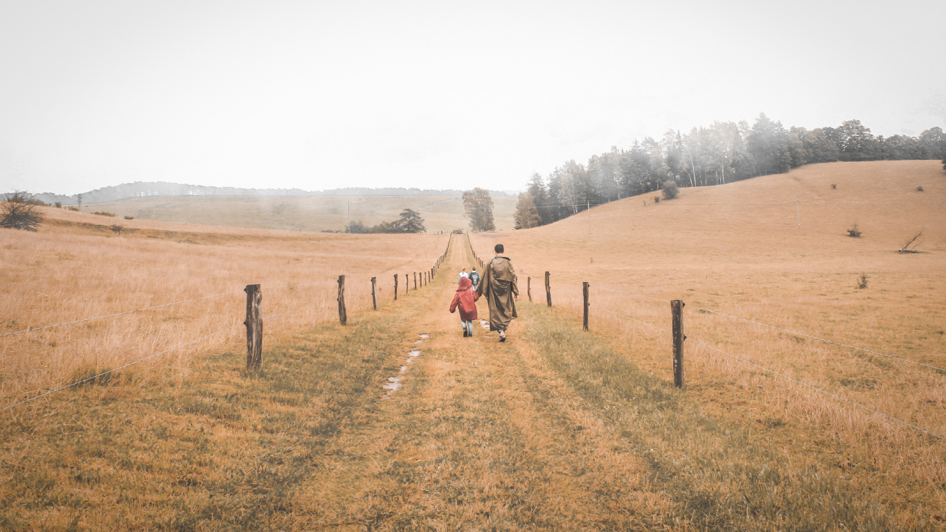 Обои семейство травы, степ, грунтовая дорога, окружающая среда, дерево в разрешении 1366x768