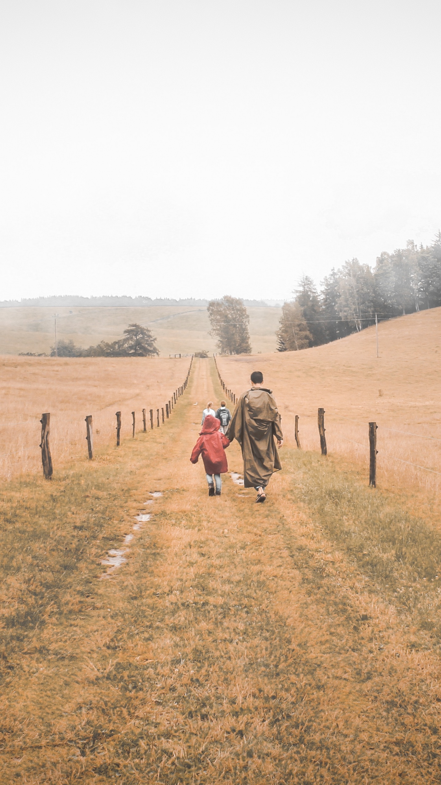 Обои семейство травы, степ, грунтовая дорога, окружающая среда, дерево в разрешении 1440x2560