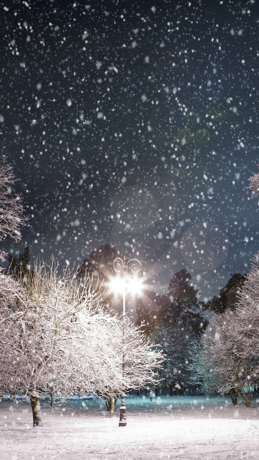 Обои ночь, снег, зима, дерево, замораживание в разрешении 1080x1920