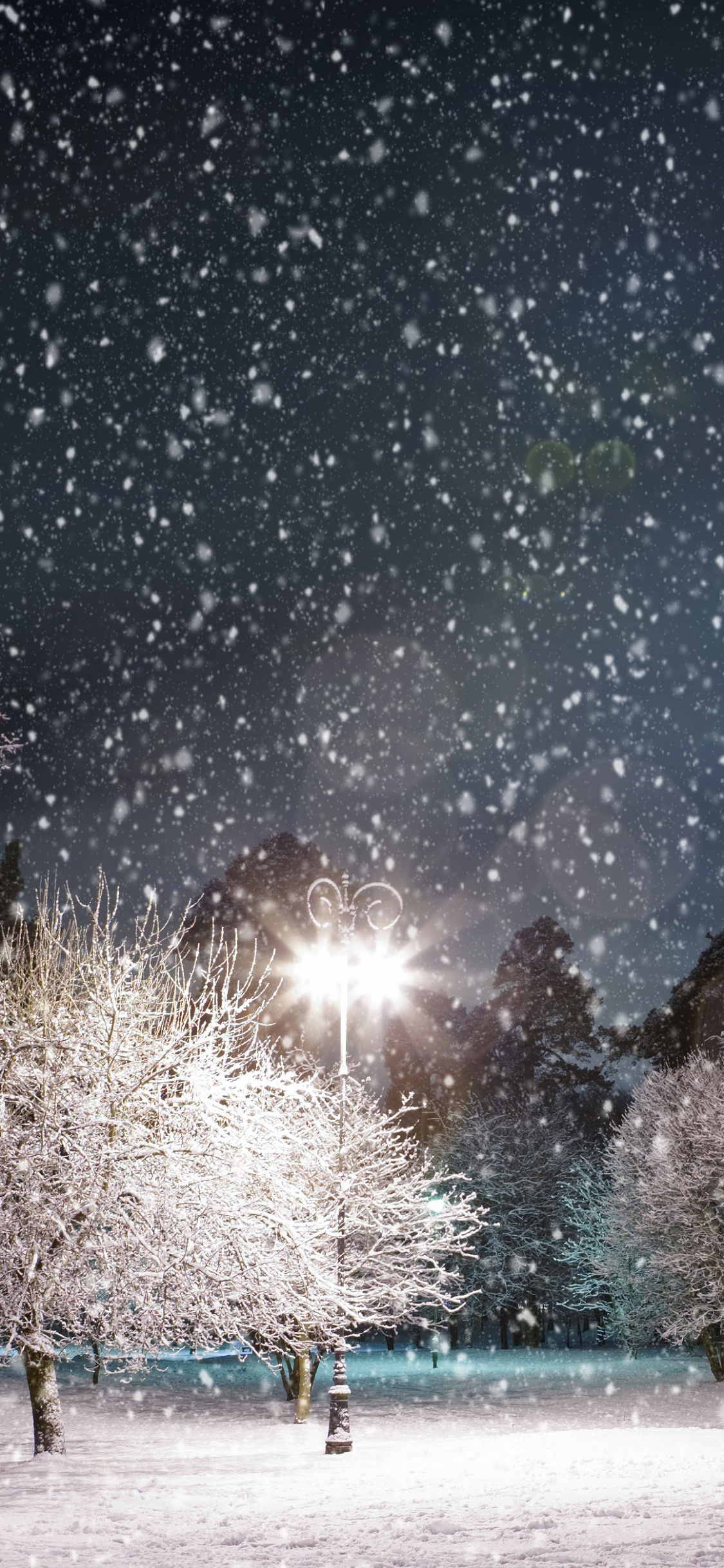 Обои ночь, снег, зима, дерево, замораживание в разрешении 1125x2436