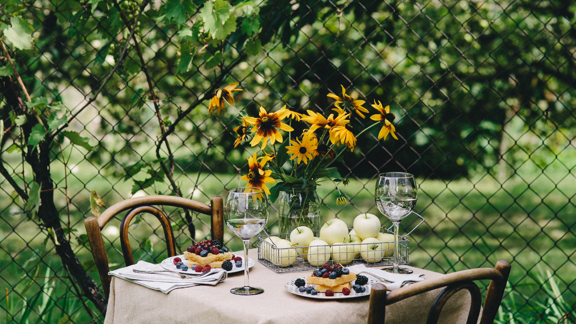 Обои завтрак, пикник, дерево, желтый, растение в разрешении 1920x1080