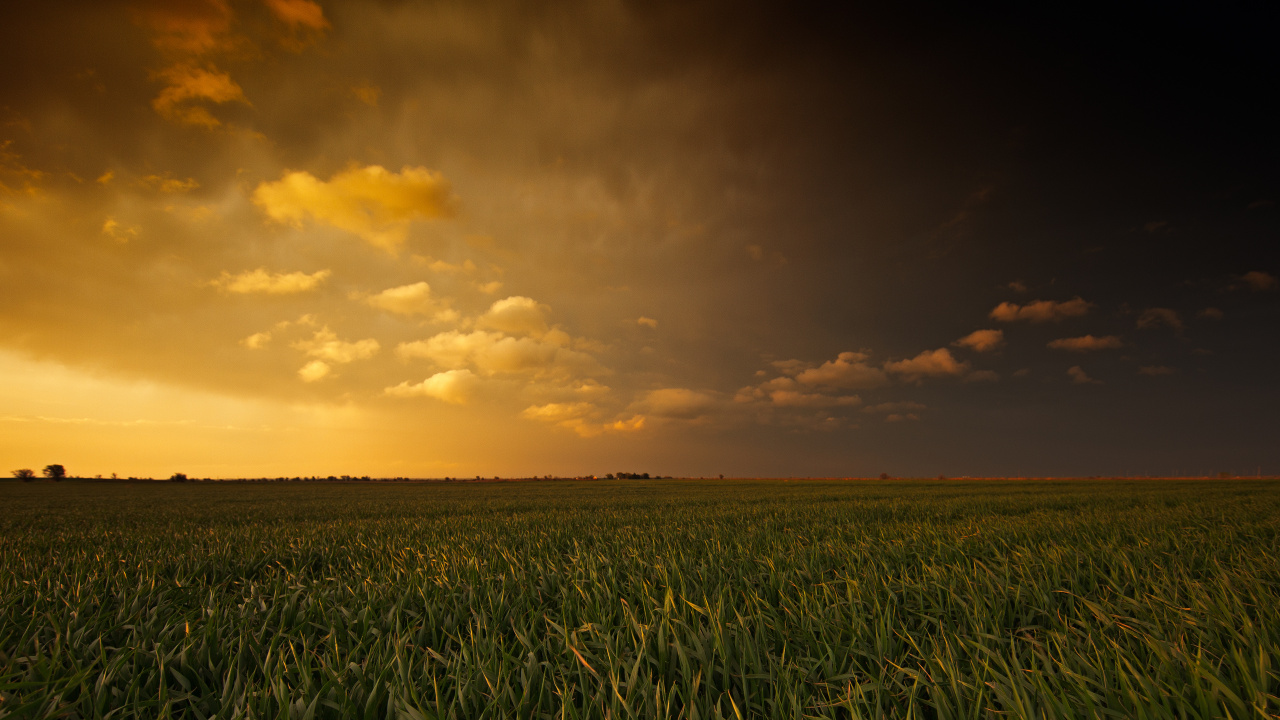 Обои поле, сенокосное угодье, облако, равнина, матовая покраска в разрешении 1280x720