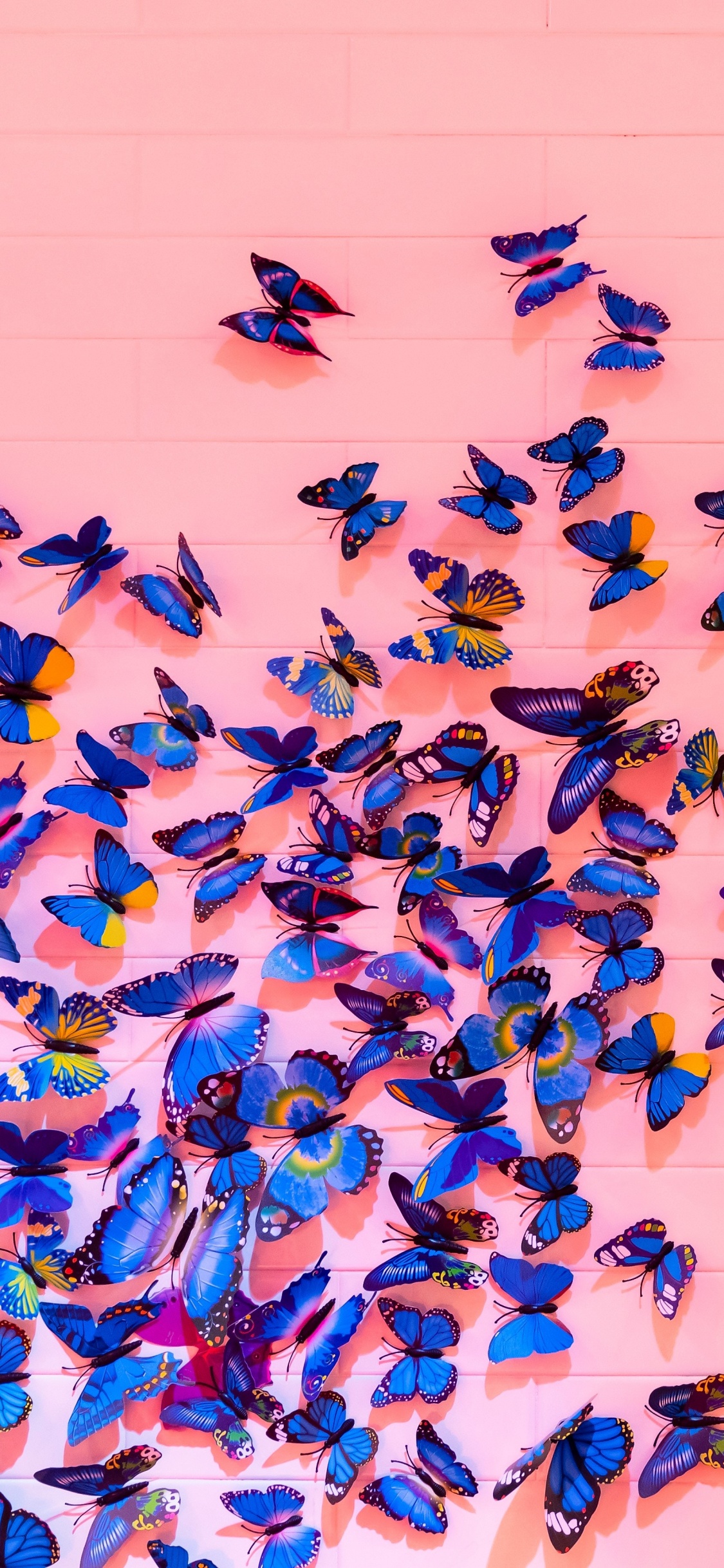 Обои синий, бабочка, насекомое, Морфо, синий цвет в разрешении 1125x2436