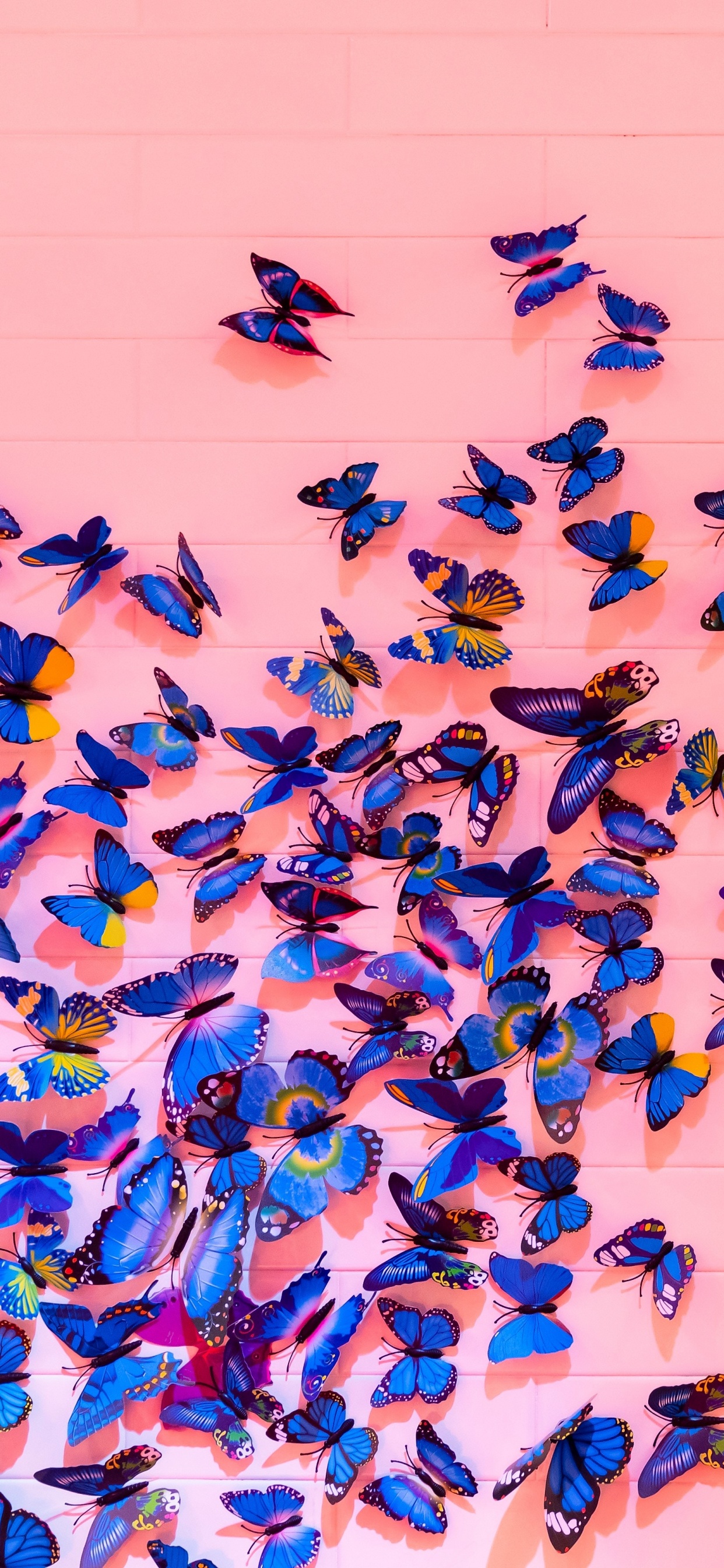 Обои синий, бабочка, насекомое, Морфо, синий цвет в разрешении 1242x2688