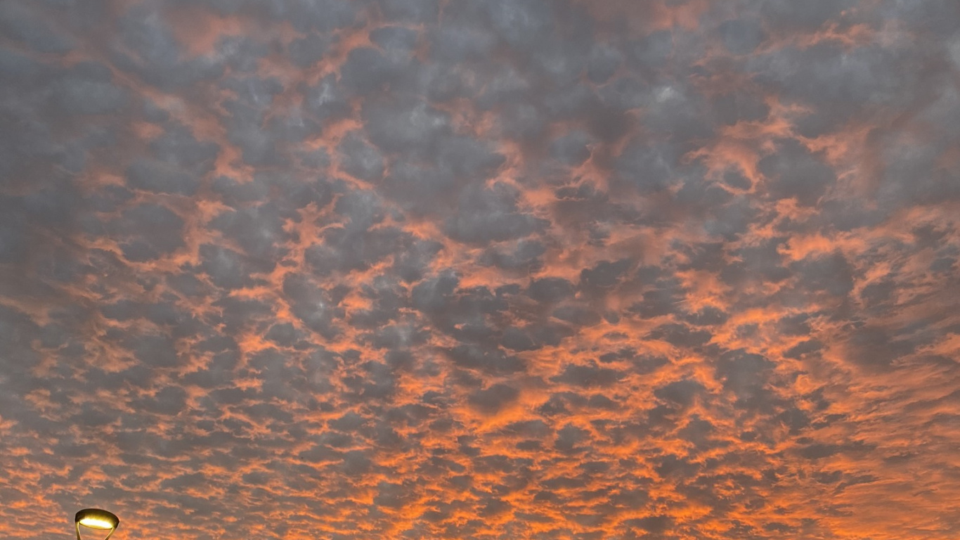 Обои водоем, ночь, природа, солнце, ветвь в разрешении 1366x768