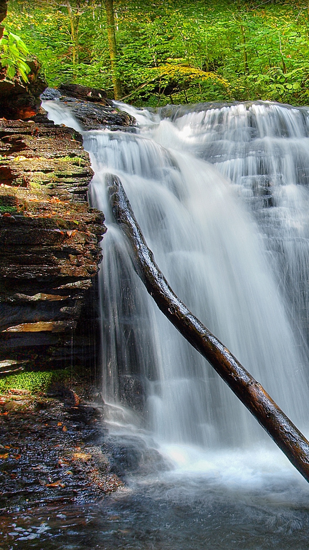 Обои водопад, водоем, гидроресурсы, природа, вода в разрешении 1080x1920