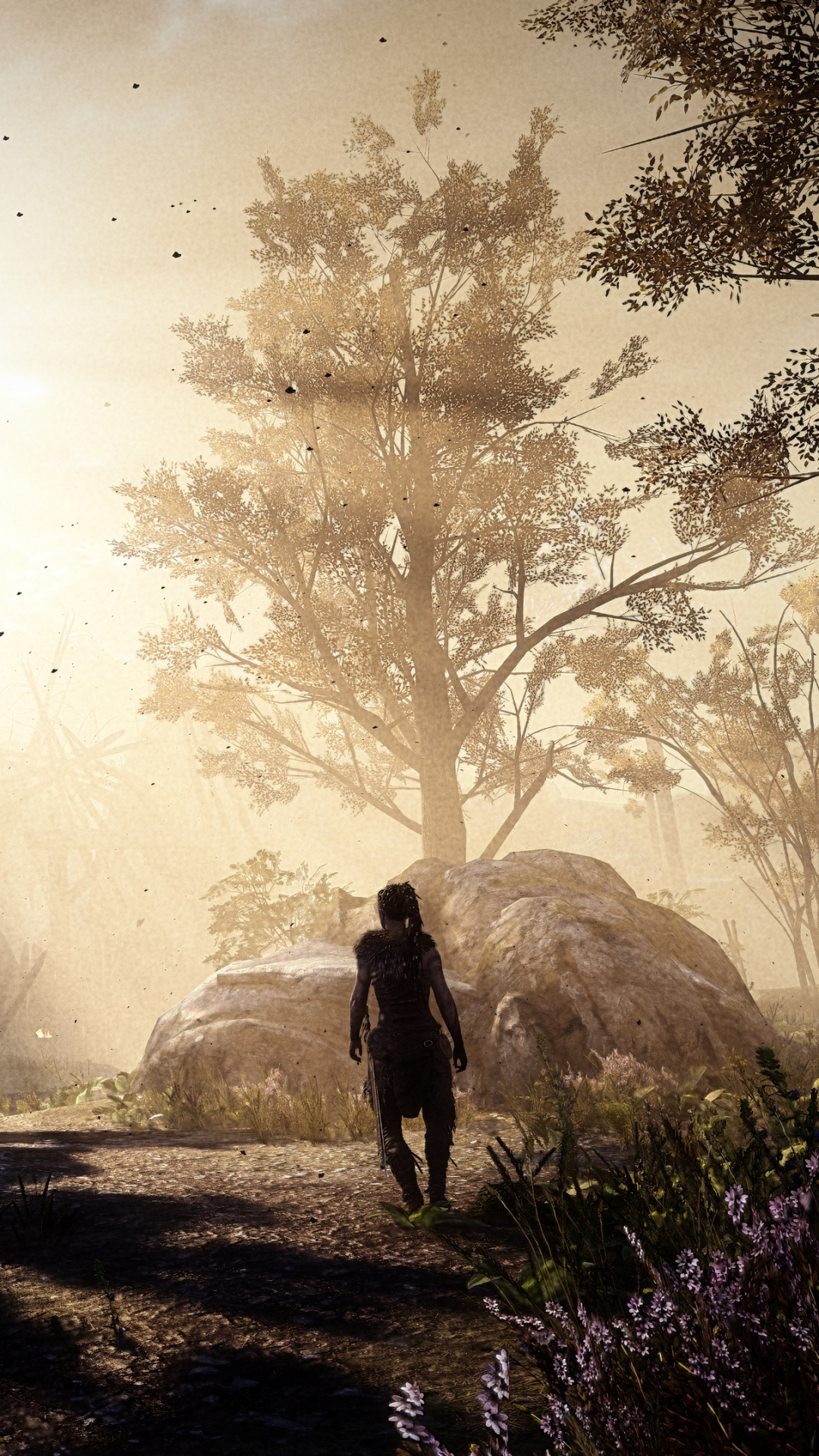 Обои природа, свет, дерево, солнечный свет, атмосфера в разрешении 1080x1920