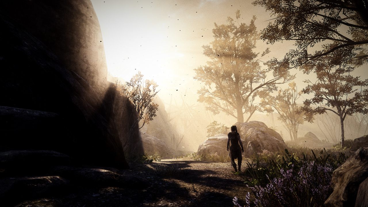 Обои природа, свет, дерево, солнечный свет, атмосфера в разрешении 1280x720