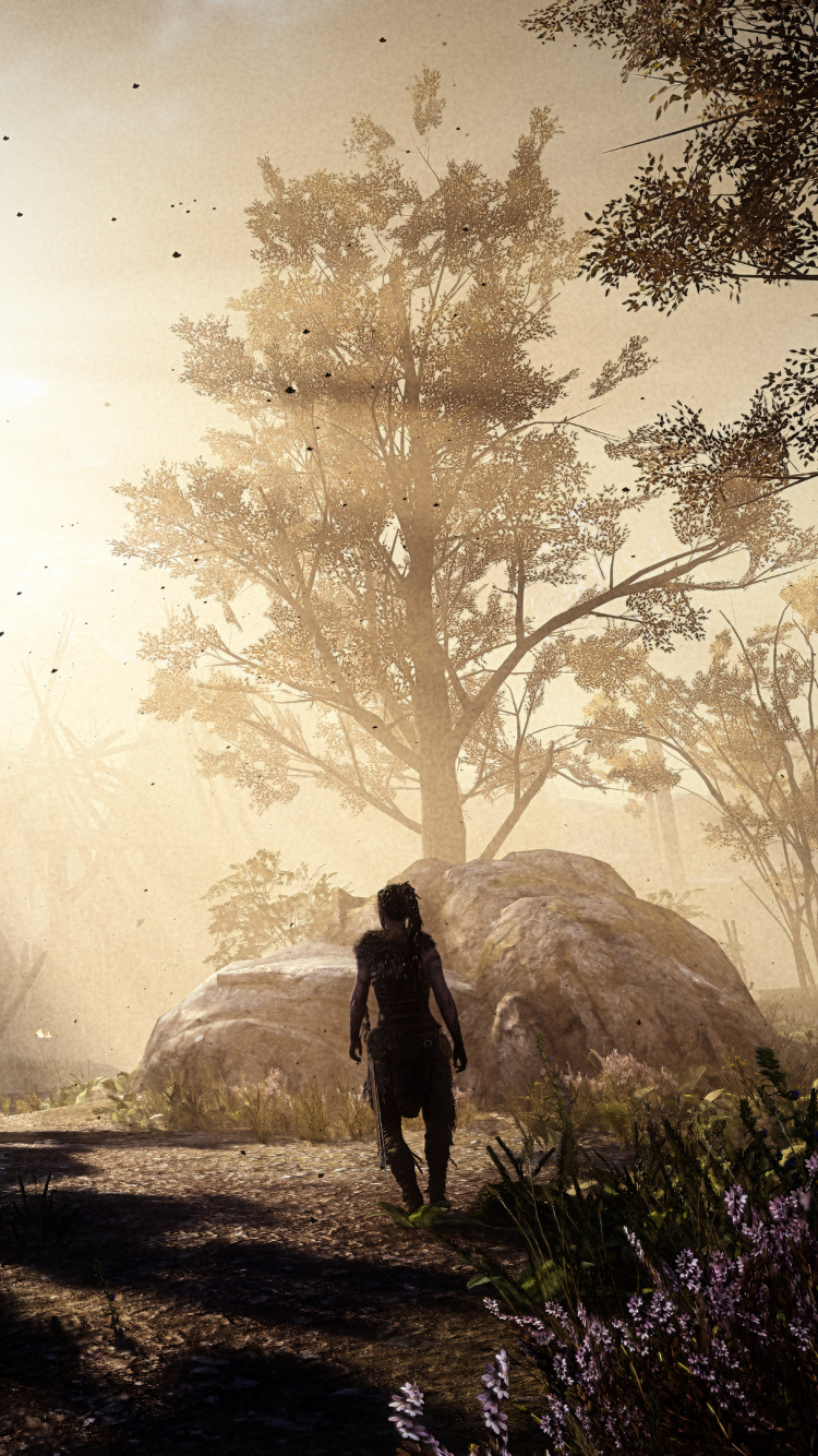 Обои природа, свет, дерево, солнечный свет, атмосфера в разрешении 750x1334