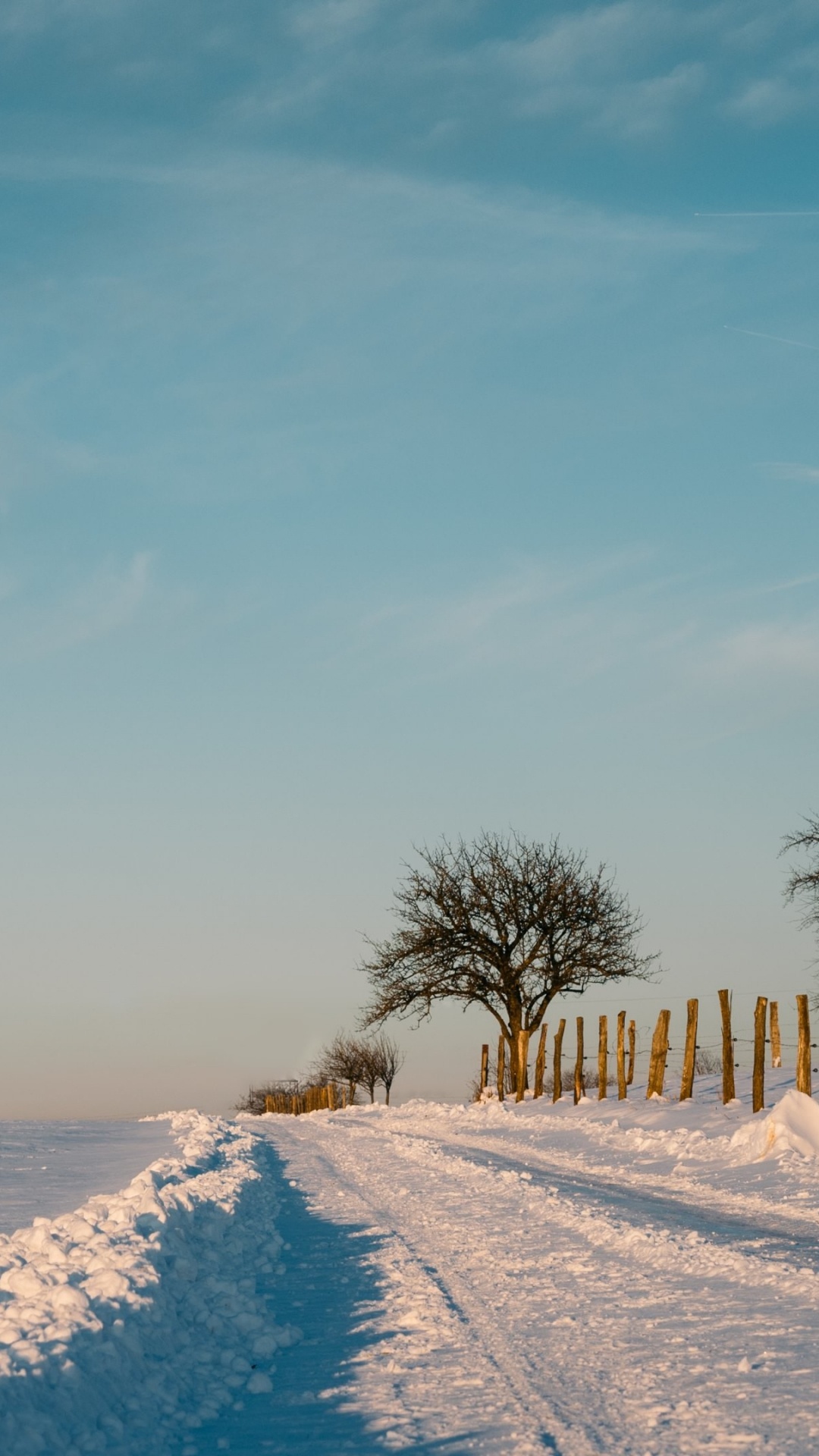 Обои снег, зима, дерево, замораживание, облако в разрешении 1080x1920
