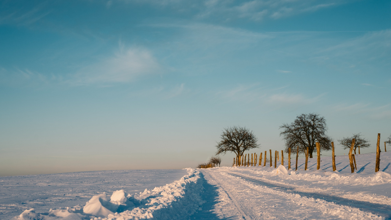 Обои снег, зима, дерево, замораживание, облако в разрешении 1280x720