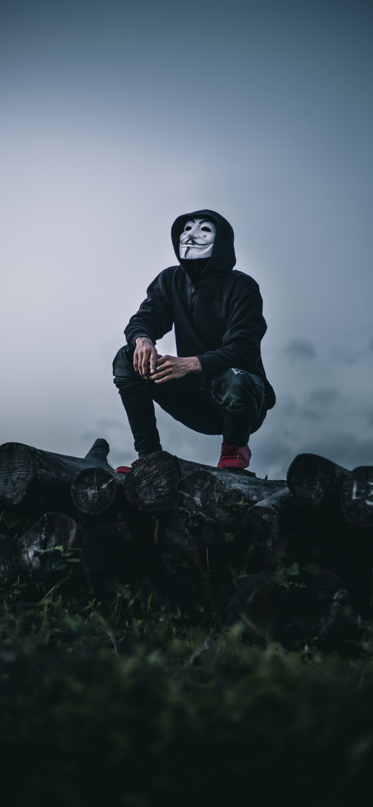 Обои Гая Фокса маска, облако, забава, дерево, сидящий в разрешении 1242x2688