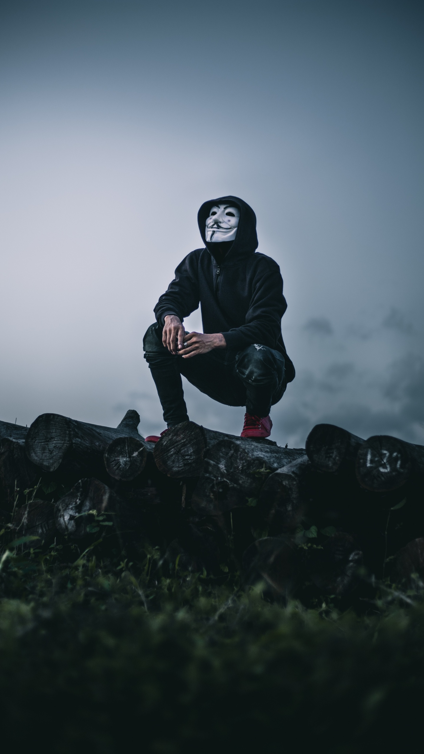 Обои Гая Фокса маска, облако, забава, дерево, сидящий в разрешении 1440x2560