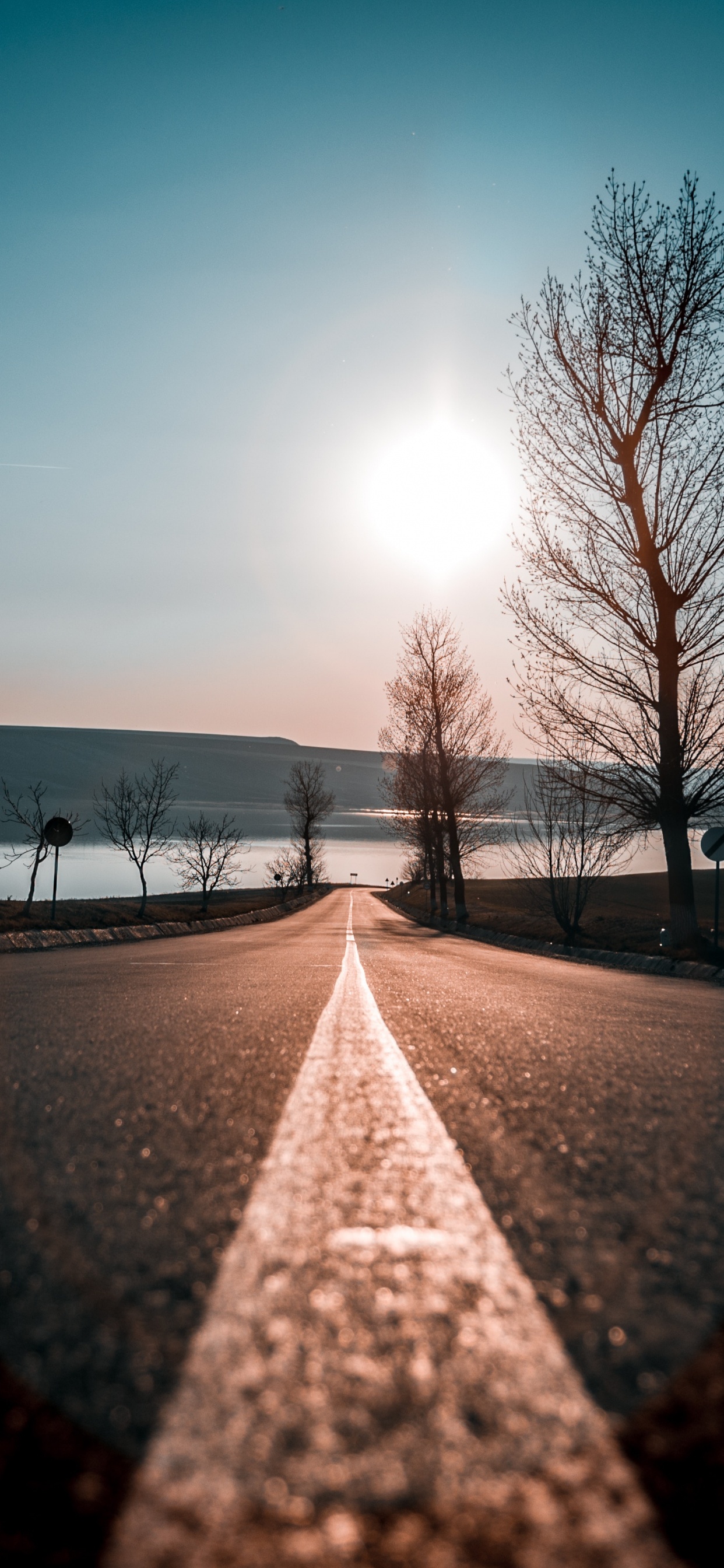 Обои дерево, природный ландшафт, утро, зима, снег в разрешении 1242x2688