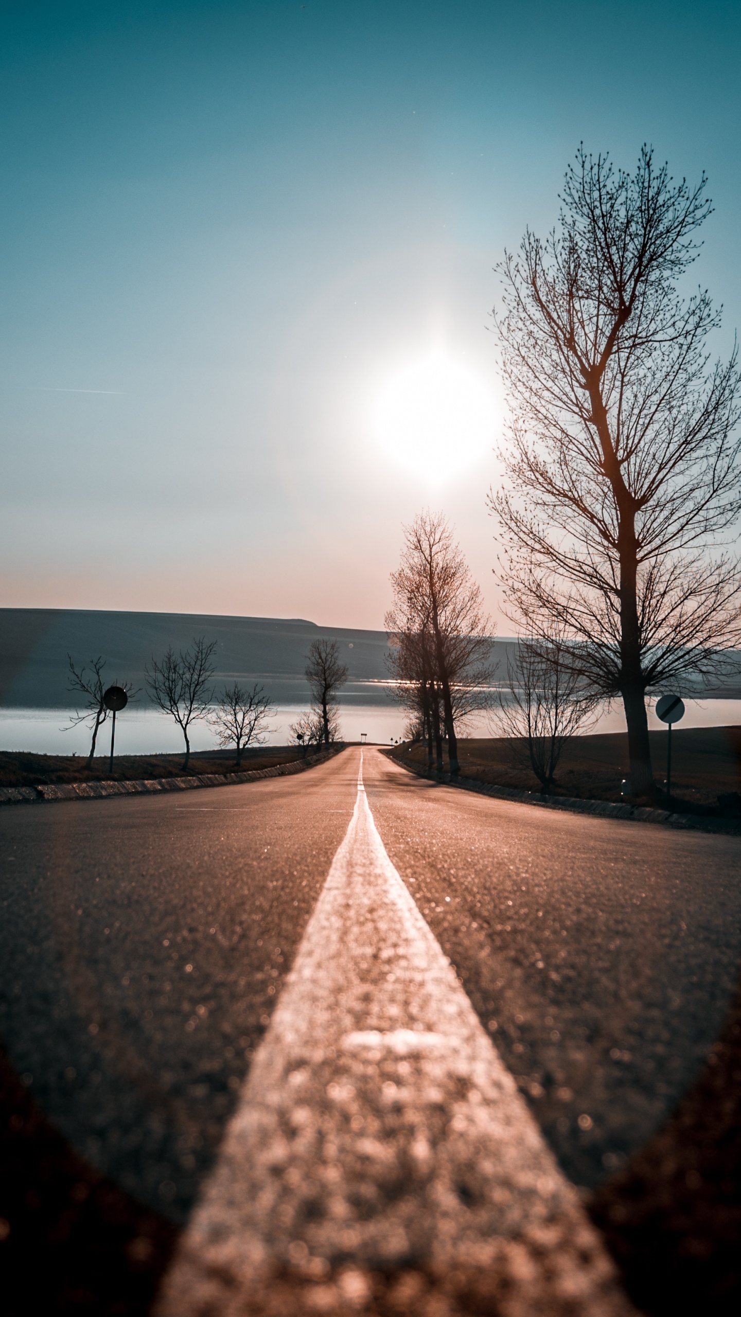 Обои дерево, природный ландшафт, утро, зима, снег в разрешении 1440x2560