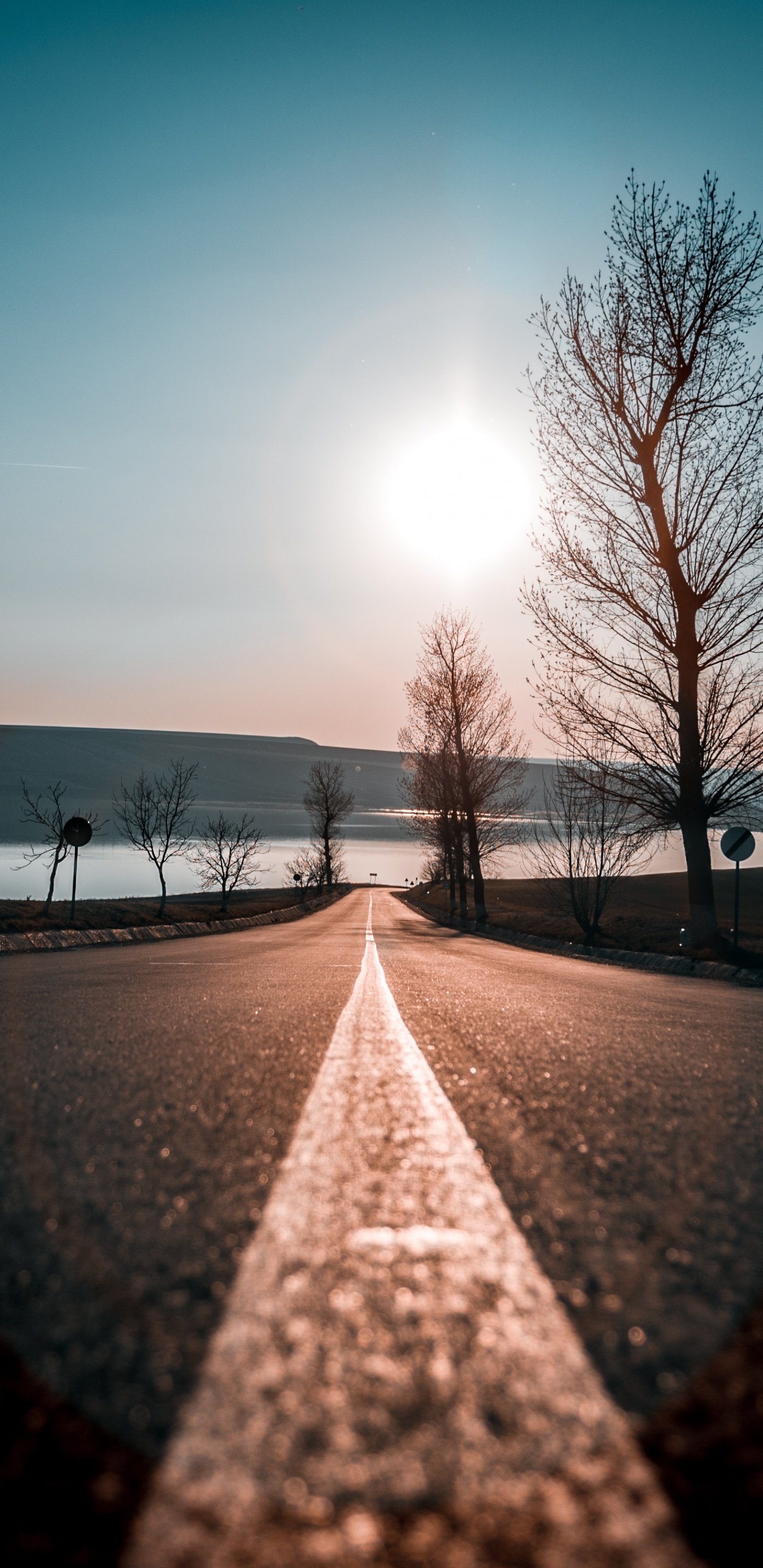 Обои дерево, природный ландшафт, утро, зима, снег в разрешении 1440x2960