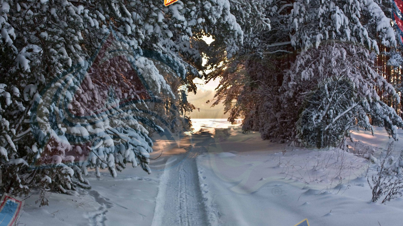 Обои зима, снег, дерево, замораживание, мороз в разрешении 1366x768