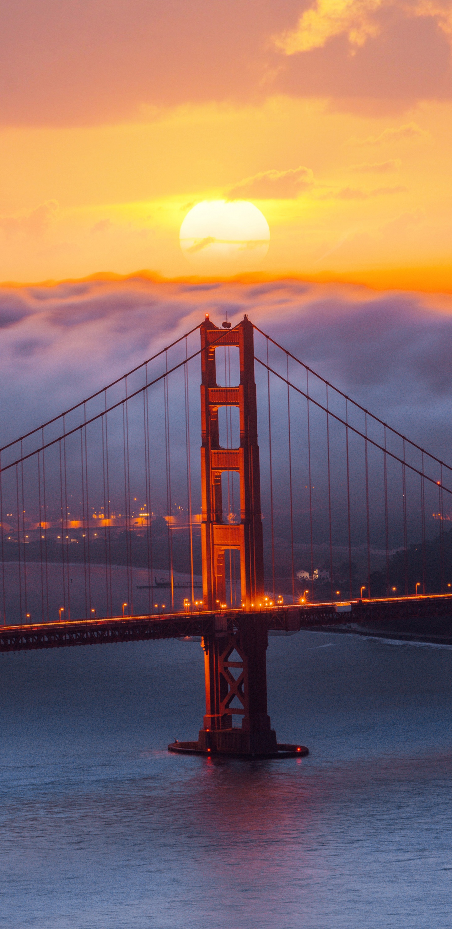 Обои послесвечение, вантовый мост, Гирдерский мост, мост, балочный мост в разрешении 1440x2960