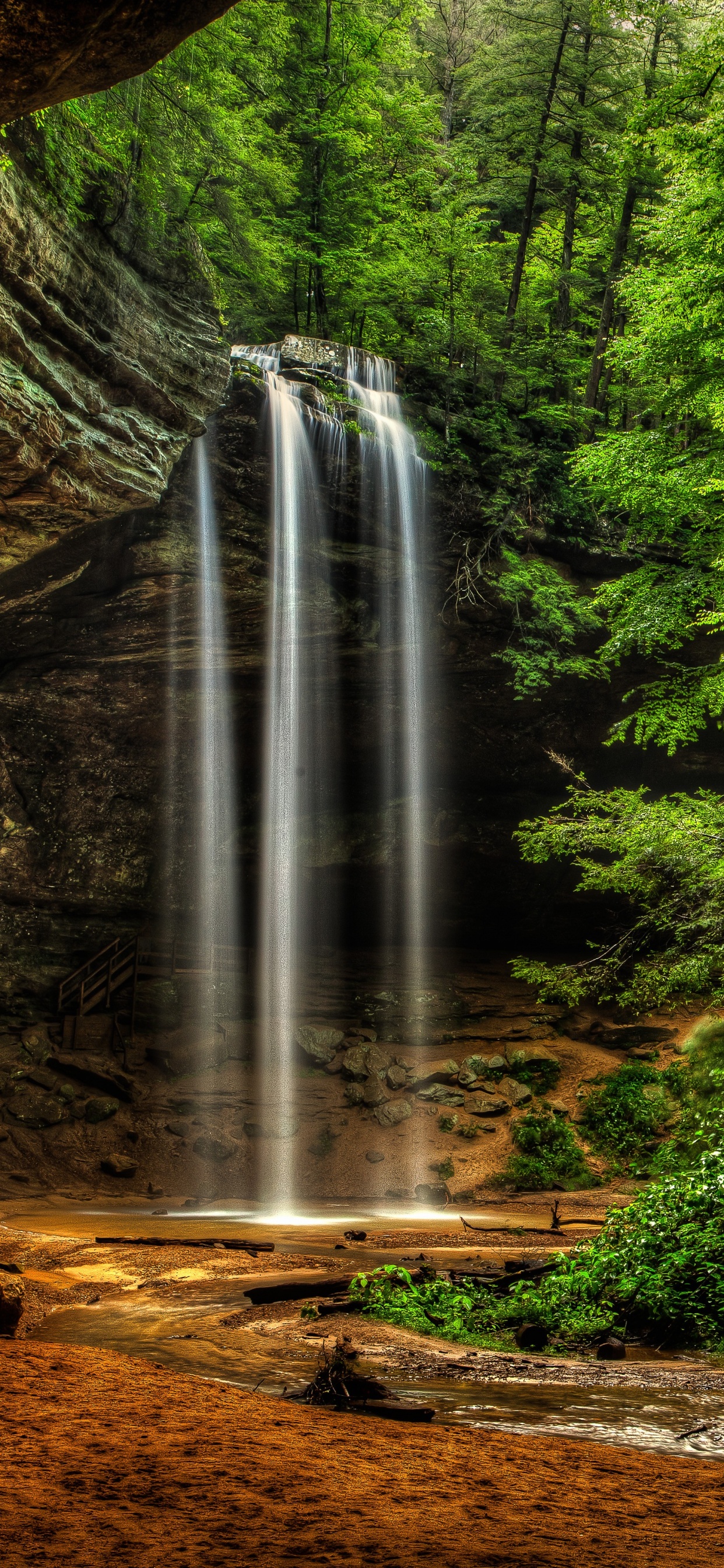 Обои Государственный Парк Хокинг Хиллз, Пещера Ясень, Логан, Хокинг Хиллз, парк в разрешении 1242x2688