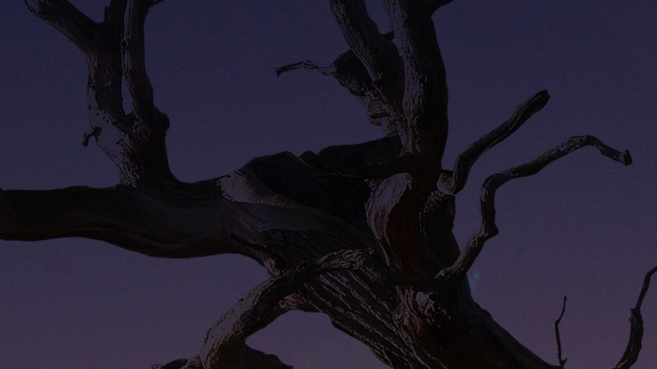 Обои apple, iPhone, iPhone X, яблоко, ios в разрешении 1280x720