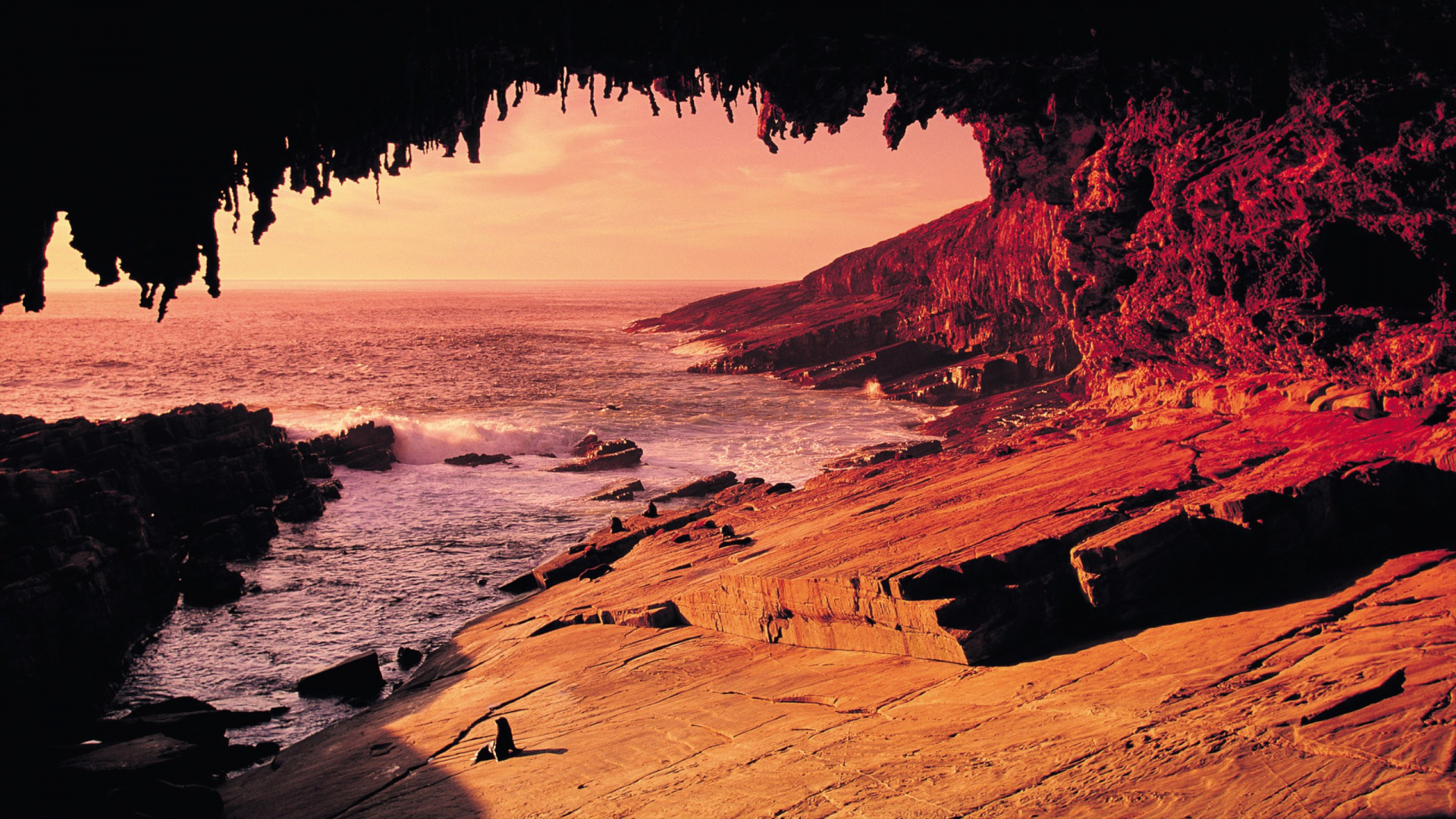 Обои Адмиралы Арки, Замечательные Скалы, национальный парк, море, рок в разрешении 1920x1080