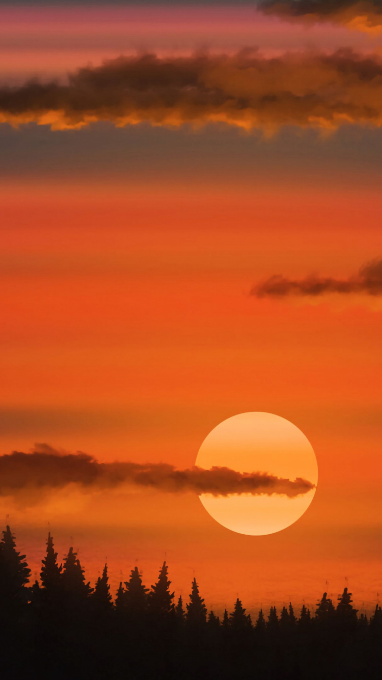 Обои солнечный свет, закат, облако, атмосфера, дневное время в разрешении 750x1334