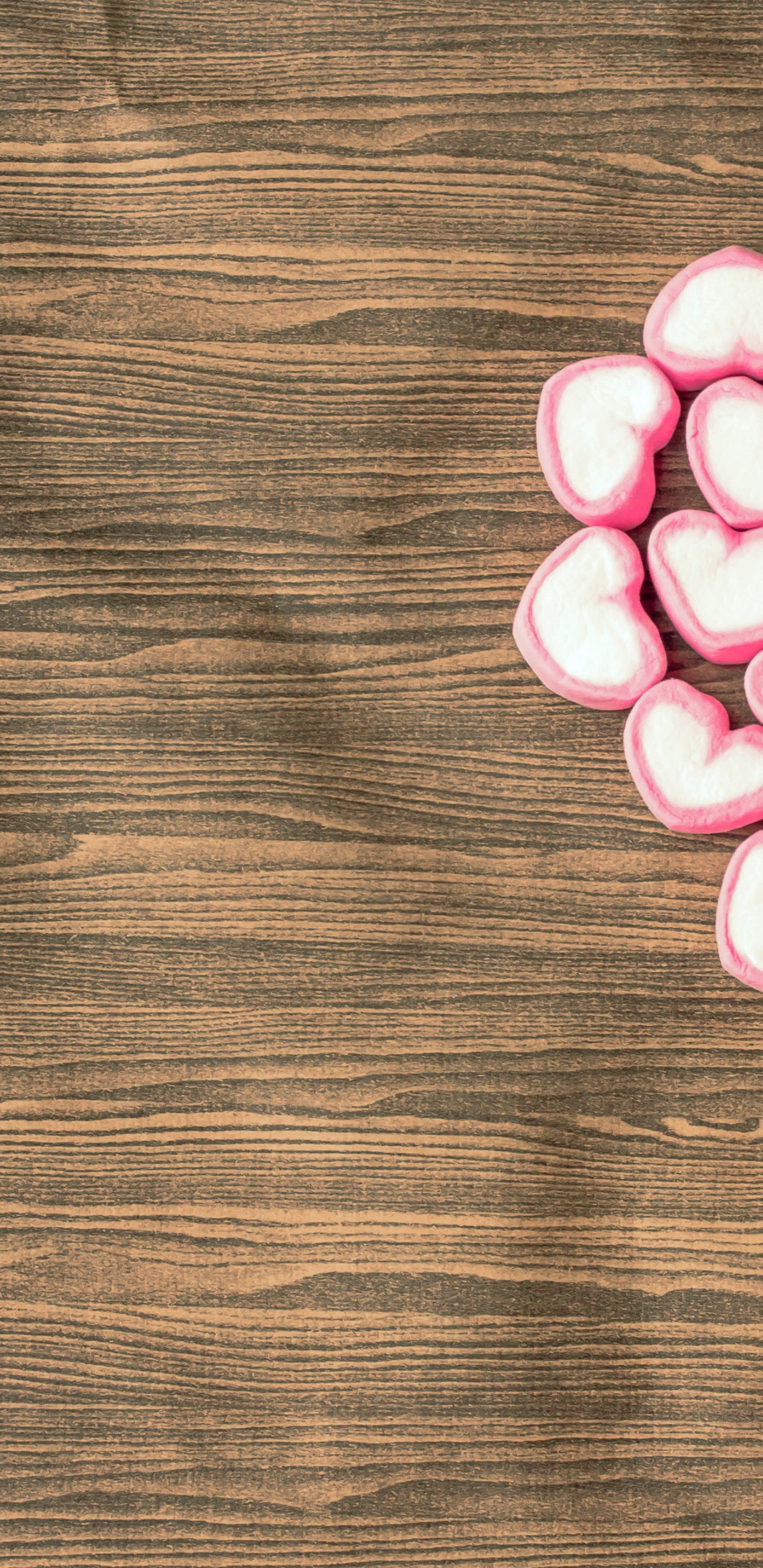 Обои розовый, сердце, любовь, лепесток, щенячья любовь в разрешении 1440x2960