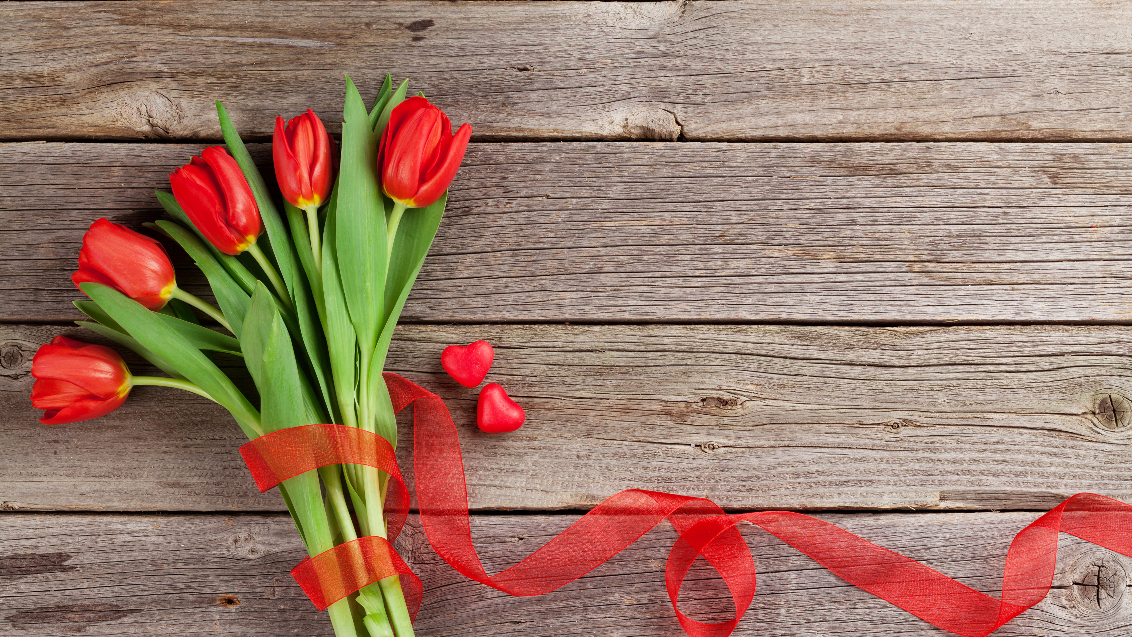 Обои цветок, тюльпаны, растение, цветковое растение, стебель растения в разрешении 3840x2160