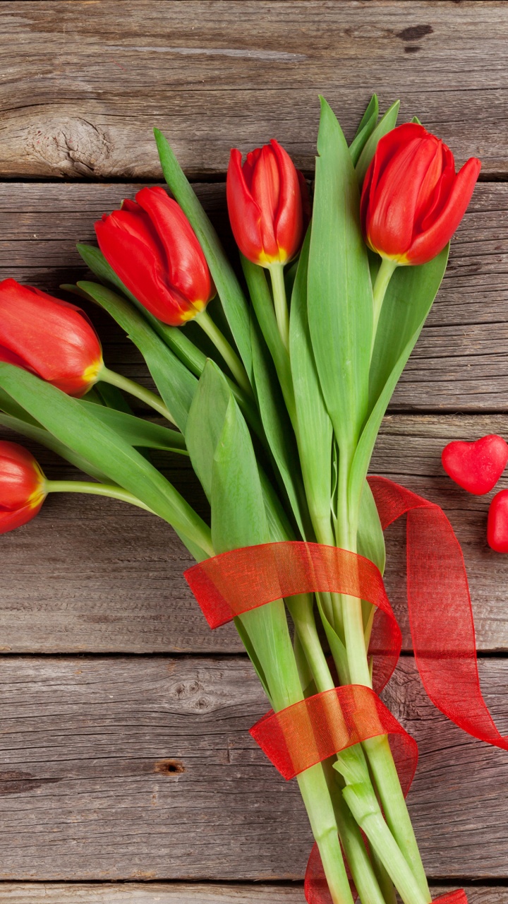 Обои цветок, тюльпаны, растение, цветковое растение, стебель растения в разрешении 720x1280