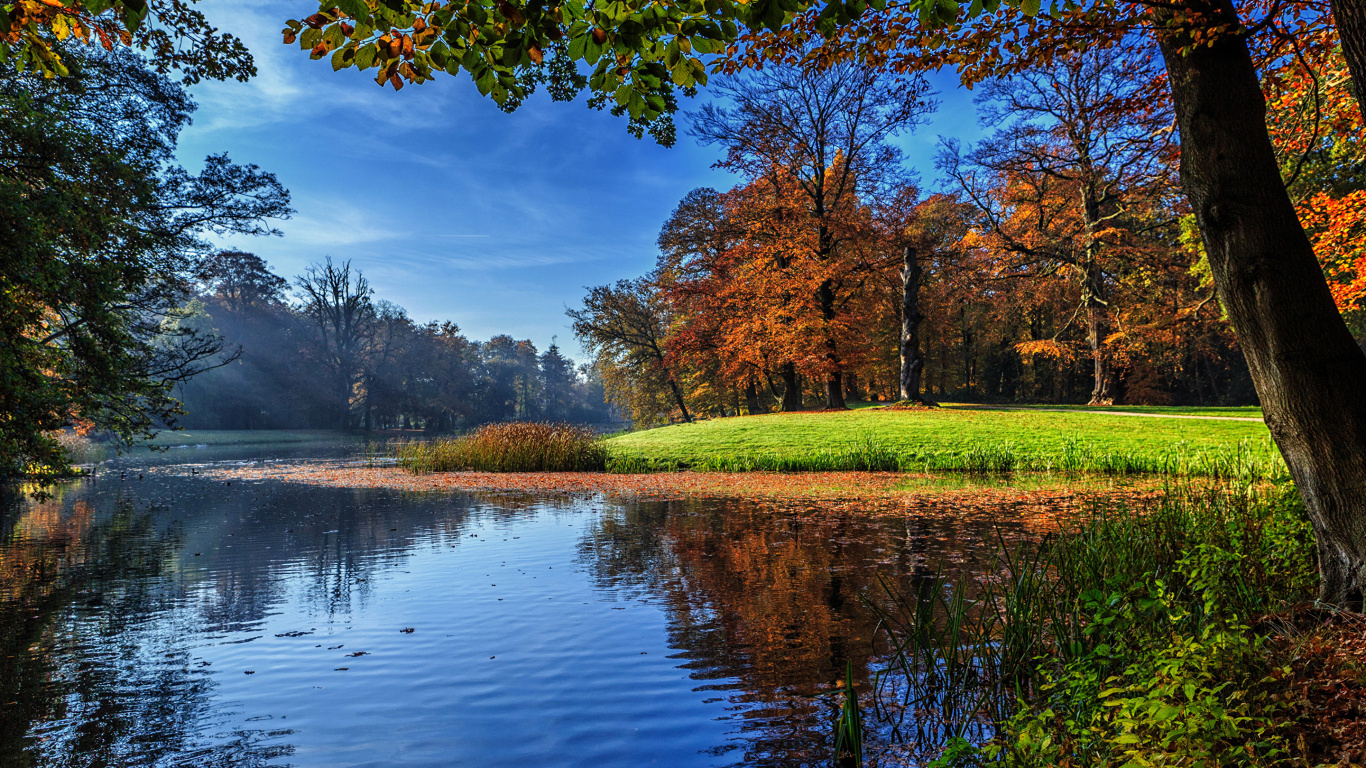 Обои природа, пейзаж, отражение, дерево, вода в разрешении 1366x768