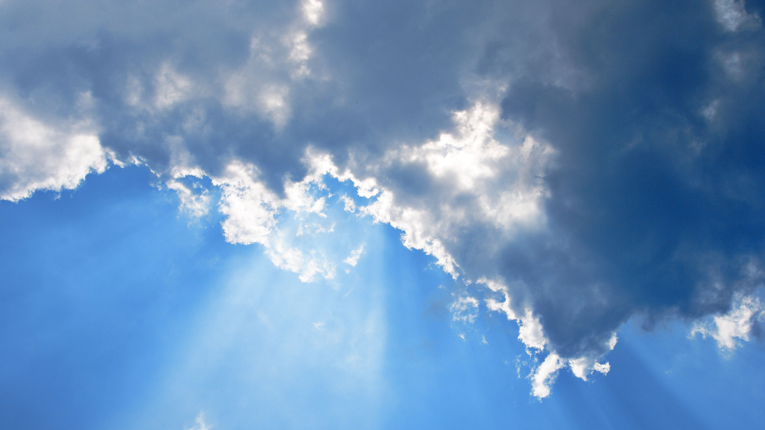 Обои облако, синий, дневное время, атмосфера, кучевое облако в разрешении 2560x1440