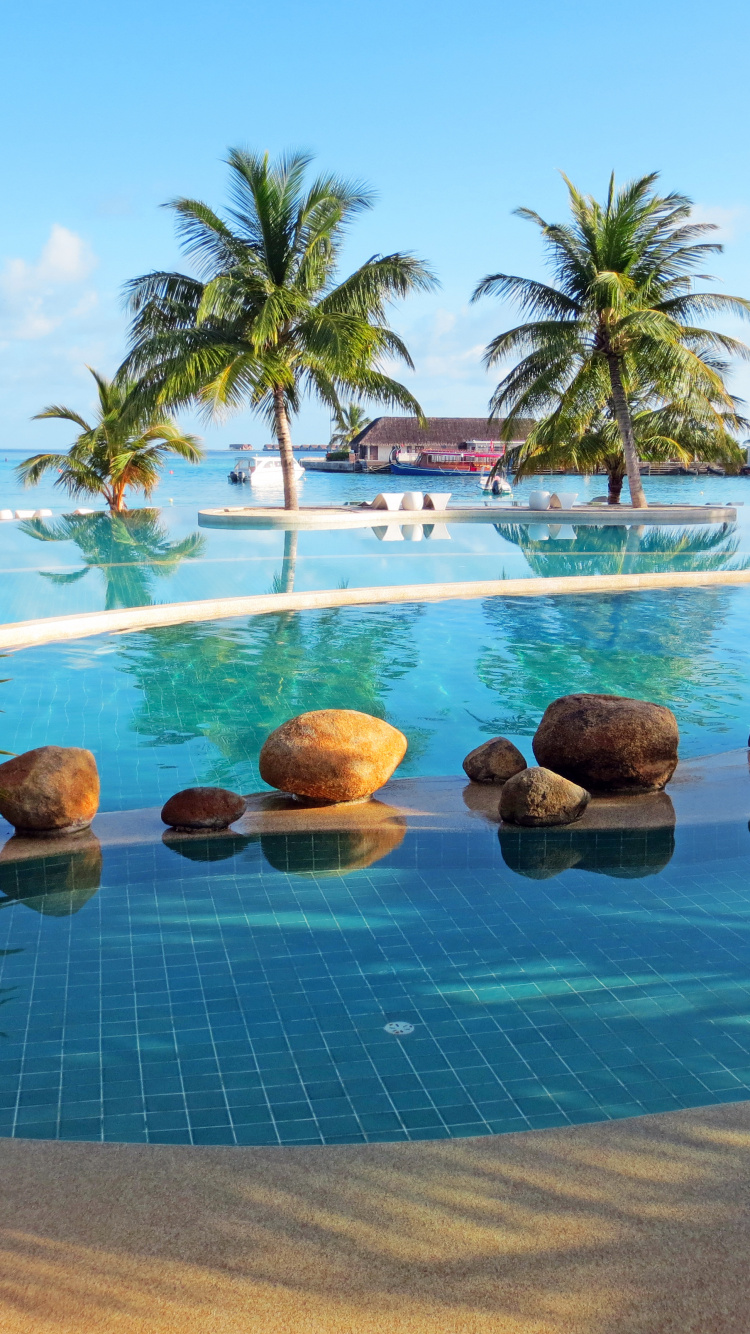 Обои пляж, плавательный бассейн, прибежище, отпуск, Карибский бассейн в разрешении 750x1334