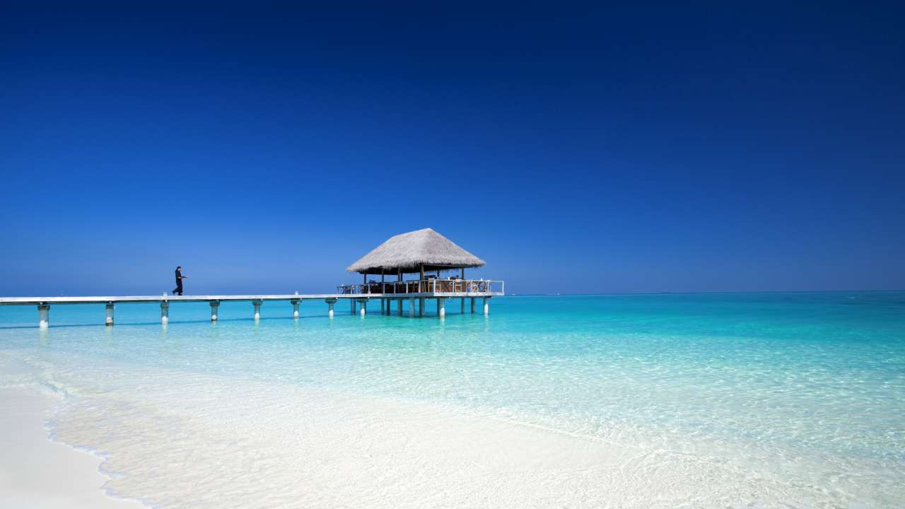 Обои море, океан, Карибский бассейн, пляж, лазурный в разрешении 1280x720